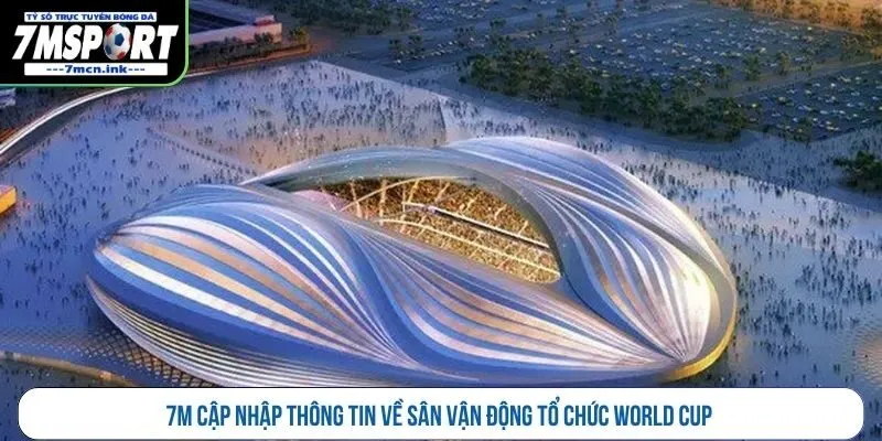 7M cập nhập thông tin về sân vận động tổ chức World Cup