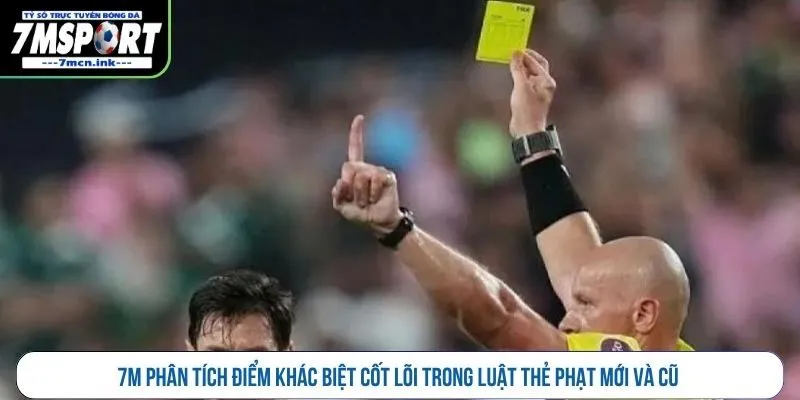 7M phân tích điểm khác biệt cốt lõi trong luật thẻ phạt mới và cũ