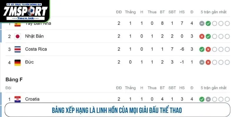 Bảng xếp hạng là linh hồn của mọi giải đấu thể thao