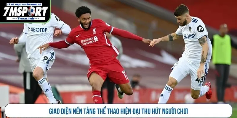 Giao diện nền tảng thể thao hiện đại thu hút người chơi