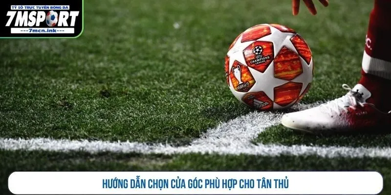Hướng dẫn chọn cửa góc phù hợp cho tân thủ