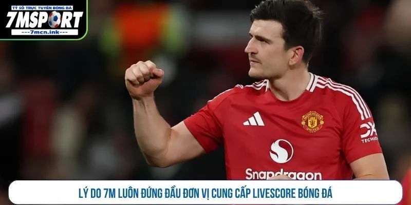Lý do 7M luôn đứng đầu đơn vị cung cấp livescore bóng đá