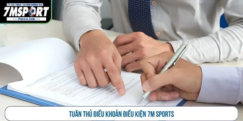 Tuân thủ điều khoản điều kiện 7M Sports