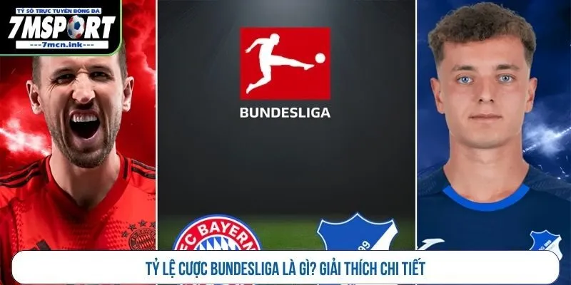 Tỷ lệ cược Bundesliga là gì? Giải thích chi tiết