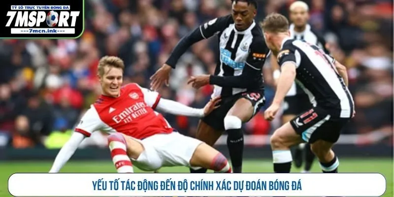 Yếu tố tác động đến độ chính xác dự đoán bóng đá